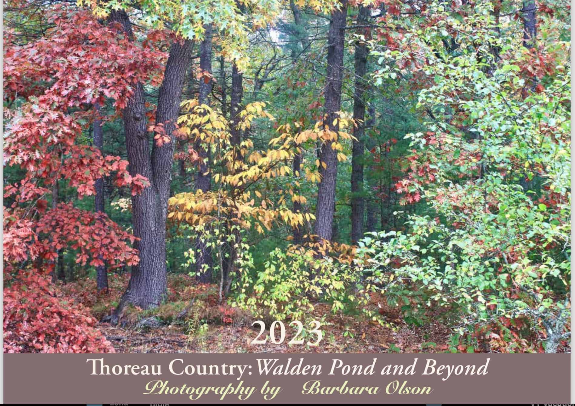 2023 Wall Calendar Walden Pond and Beyond The Walden Woods Project